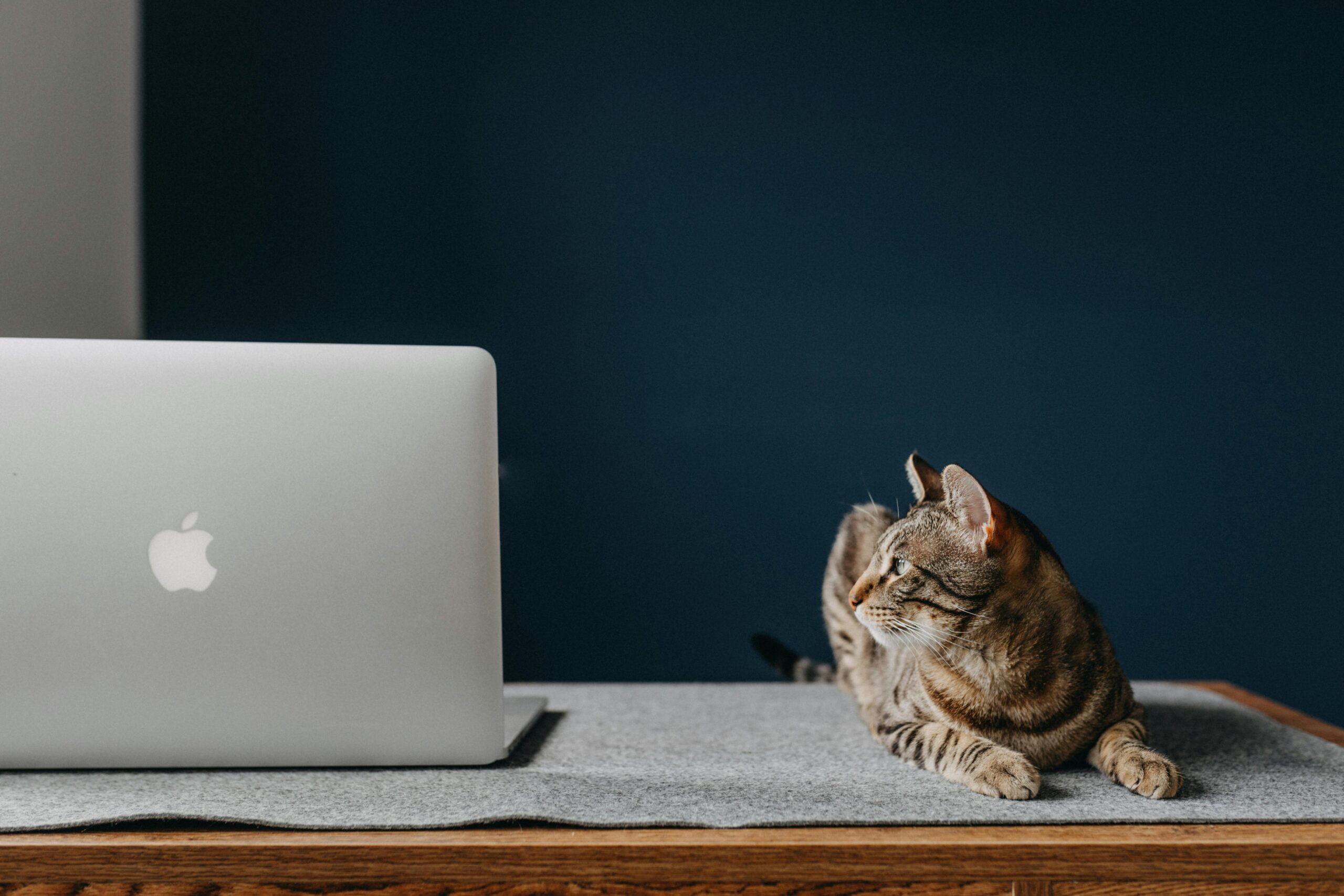 Nomads.com for Digital Nomads: Why I Still Recommend It